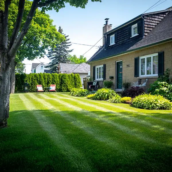 backyard lawn project melbourne 600