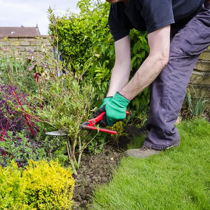 services garden care 700