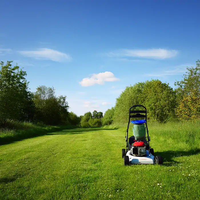 services grass cutting 700